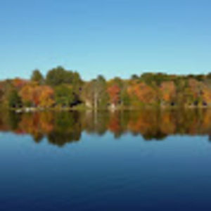 Meet your Posher, Fran